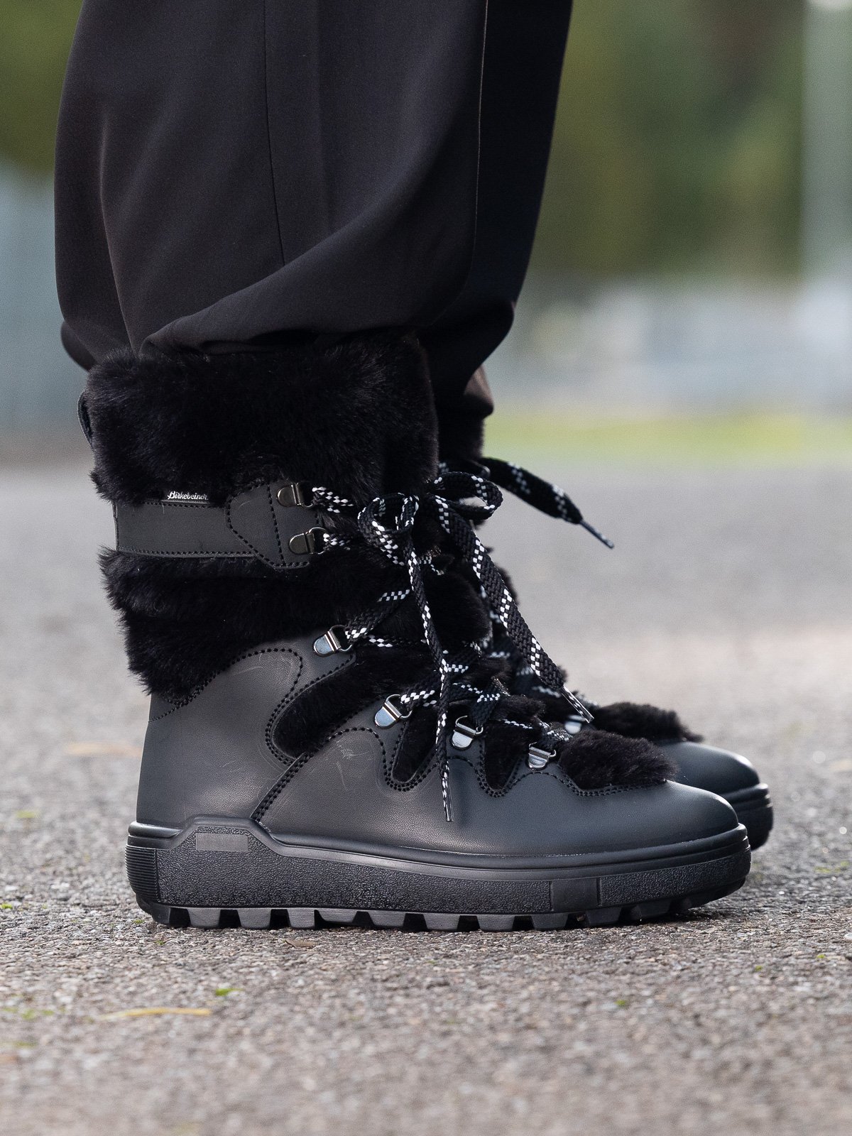 Birkebeiner - Viddo WP Black