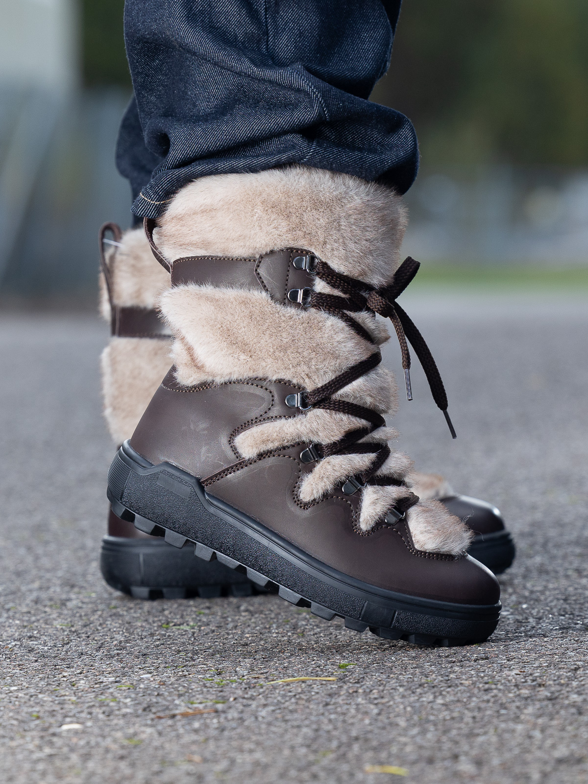 Birkebeiner - Viddo WP Brown