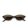 Sole Sunglasses Brown