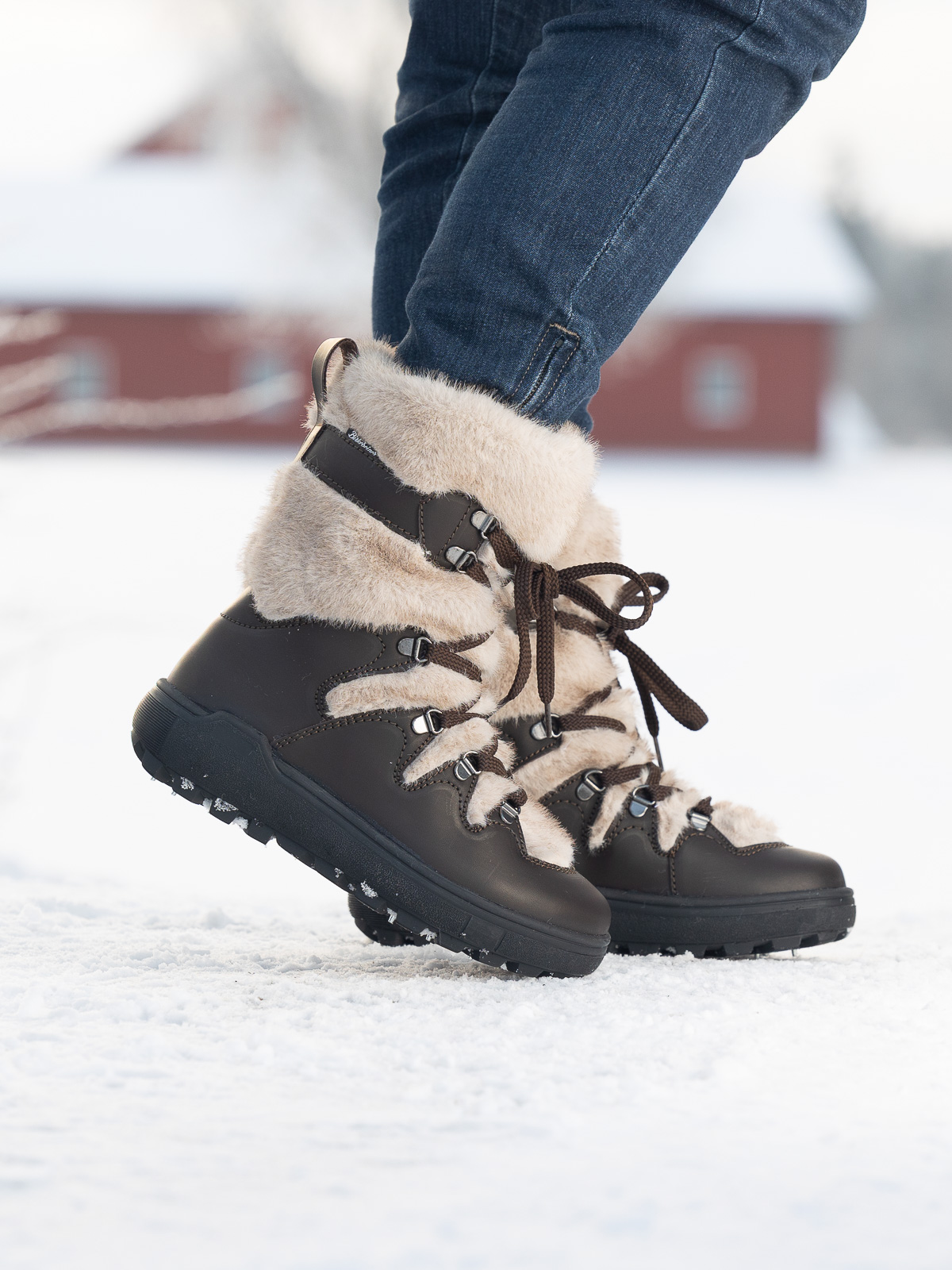 Birkebeiner - Viddo WP Brown