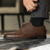 Gregers - Oxford Brogue Brown - Bilde 21